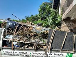 Best Demolition Debris Removal  in Summerville, SC